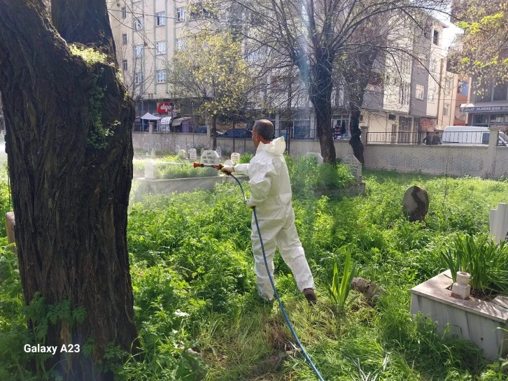 MEZARLIKLARDA YABANİ OTLARA KARŞI İLAÇLAMA ÇALIŞMASI BAŞLATILDI