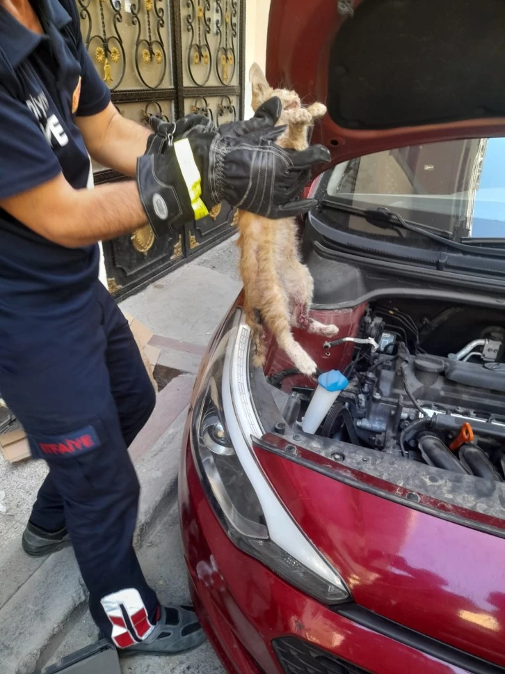 Motor kısmında sıkışan kediyi itfaiye kurtardı