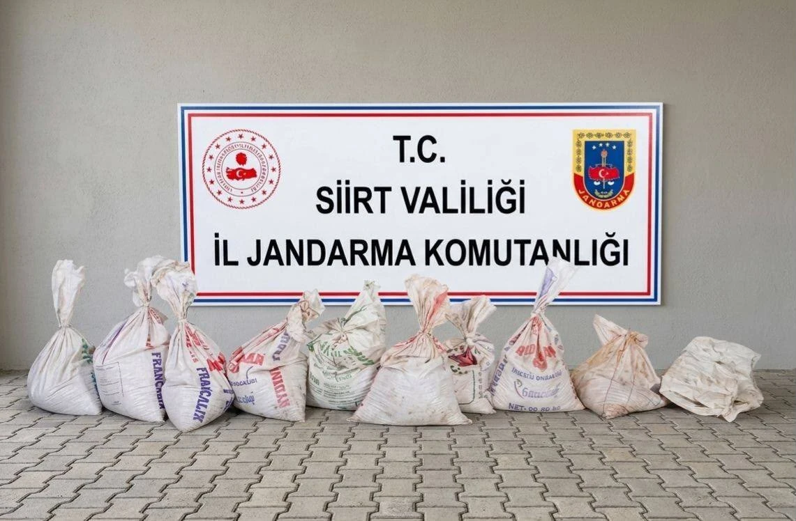 300 KİLO FISTIK &Ccedil;ALAN Ş&Uuml;PHELİLER SU&Ccedil;&Uuml;ST&Uuml; YAKALANDI