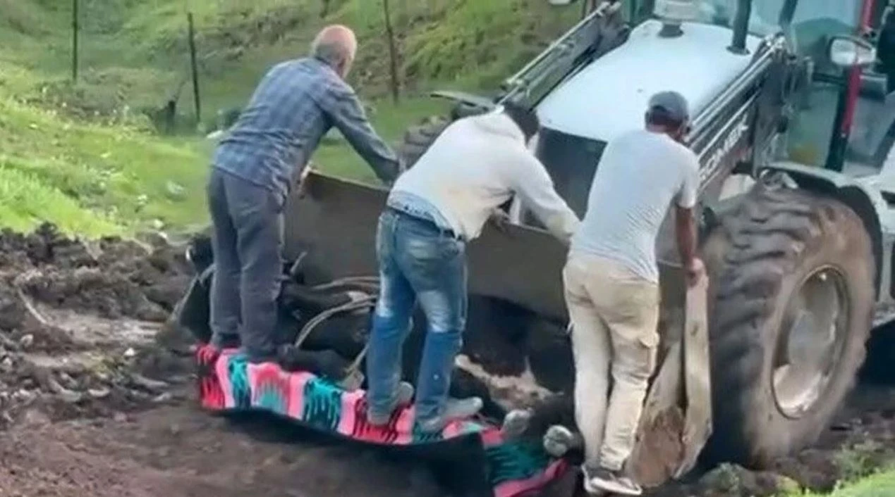 ÇAMURA SAPLANAN BÜYÜKBAŞ HAYVAN KURTARILDI