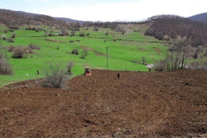 Ordu'da atıl araziler ekonomiye 75 milyon TL katkı sağladı