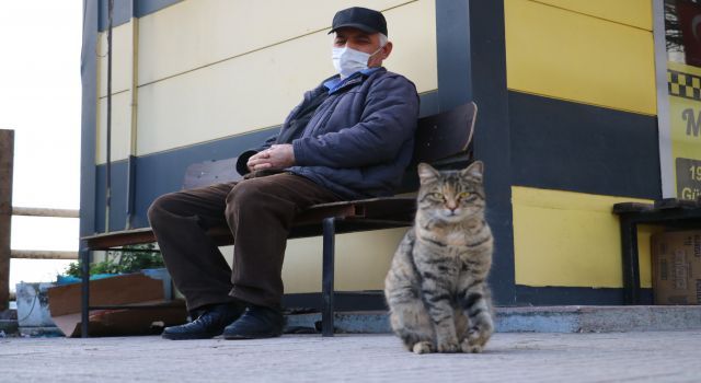 Patisinden sakatlanan kediye taksiciler sahip çıktı