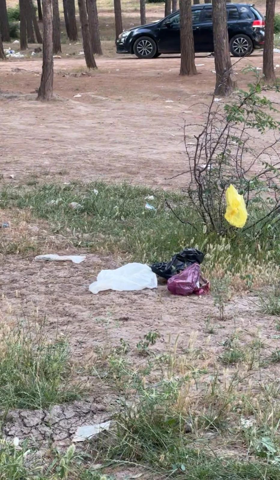 Piknik alanlarında kirlilik tepki topluyor