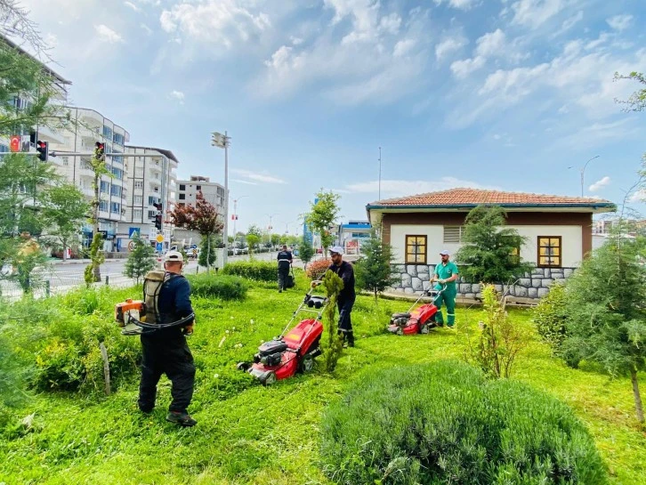 Siirt Belediyesi Park Ve Bahçeler Müdürlüğü Temizlik Ve Bakım Çalışması Başlattı