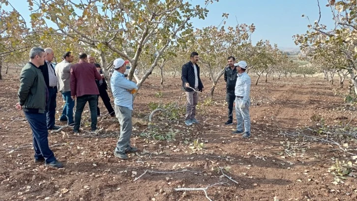 Siirt fıstığına yönelik seminer verildi