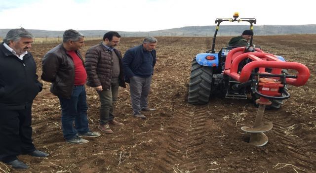 Siirt Kurtalan'da badem ve ceviz yaygınlaştırılıyor