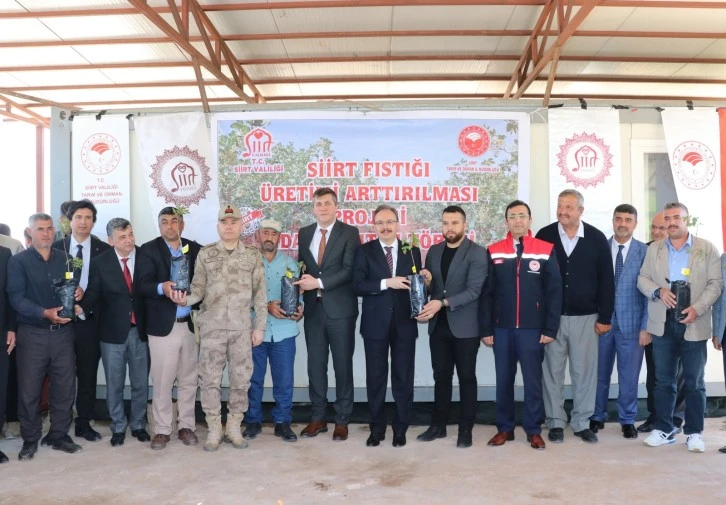 Siirt’te 125 Bin Bin Adet Siirt Fıstığı Fidanı Üreticilere Dağıtıldı