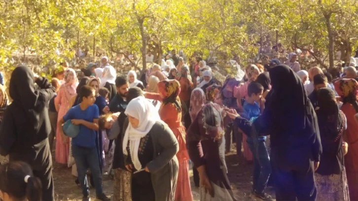 Siirt'te Binlerce Kişi Bapirê Sofi Ziyafetinde Bir Araya Geldi