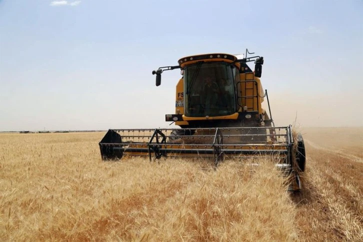 Siirt’te Buğday ve Arpa Üreticilerine TMO Alım Primi Desteği Ödenecek