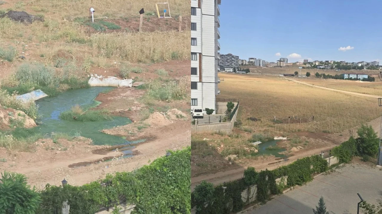 Siirt'te Foseptik &Ccedil;ukuru Tepkisi: Mahalle Sakinleri Koku ve Sivrisinek Sorununun &Ccedil;&ouml;z&uuml;lmesini İstiyor