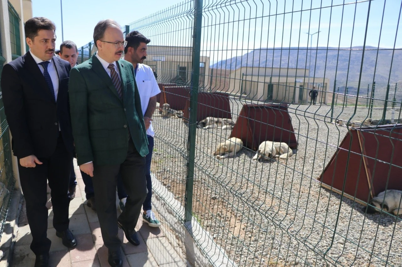 Siirt’te Geri Dönüşümle Hem Doğa Korunuyor Hem Hayvanlar Besleniyor