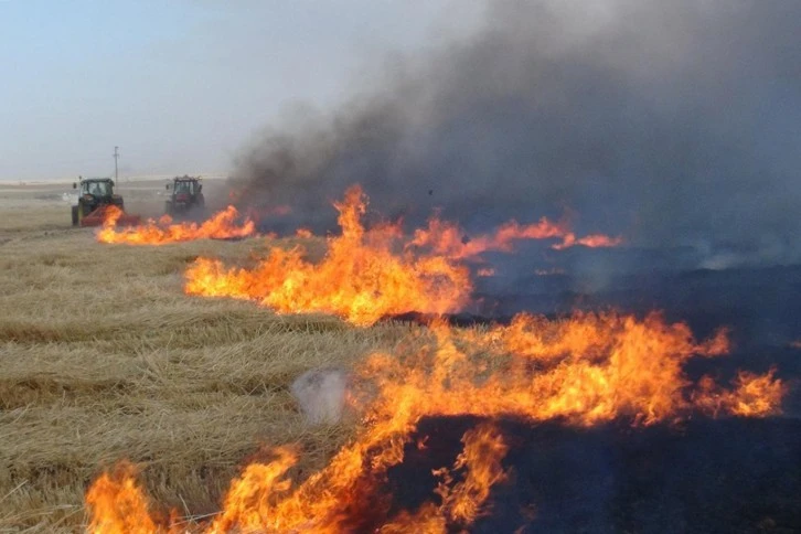 Siirt'te havalar ısındı "anız" korkutuyor