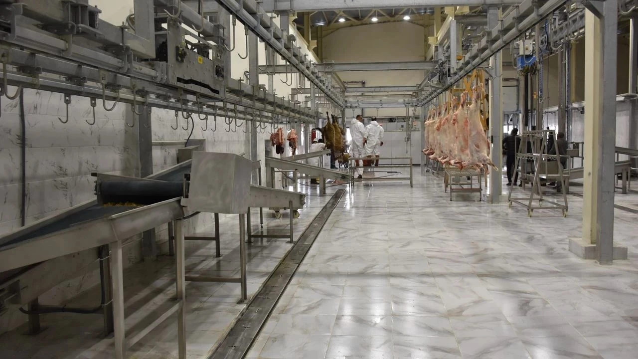 Siirt’te Hayvan Kesim Ücretleri Yeniden Belirlendi