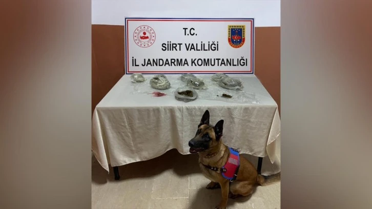 SİİRT’TE, JANDARMA UYUŞTURUCU TACİRLERİNE AĞIR DARBE VURDU