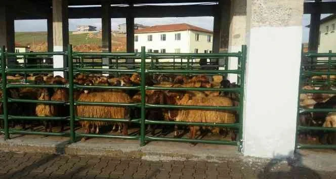 Siirt'te kurban satış ve kesim yerleri belirlendi