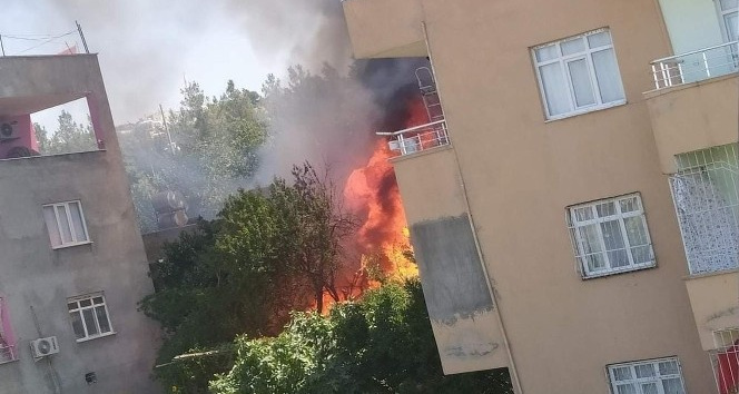 Siirt'te odunlukta çıkan yangın korkuttu: 3 çocuk dumandan etkilendi