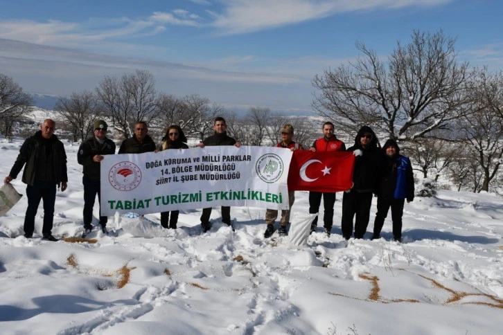 Siirt'te Yiyecek Bulmakta Zorluk Çeken Yaban Hayvanları İçin Doğaya Yem Bırakıldı