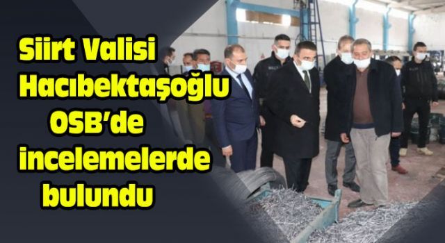 Siirt Valisi Hacıbektaşoğlu OSB'de incelemelerde bulundu