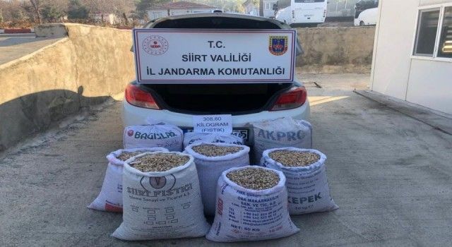 Siirt'te 308 kilogram fıstık çalındı: 1 gözaltı