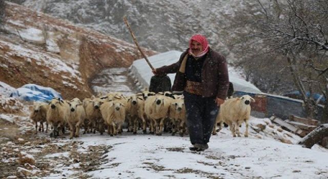 Siirt'te göçerlerin kışla imtihanı 