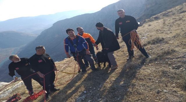 Siirt'te mahsur kalan keçiyi AFAD kurtardı
