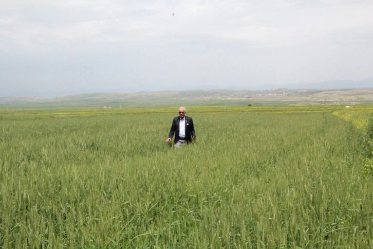 Siirtli çiftçiler rekor düzeyde ürün bekliyor