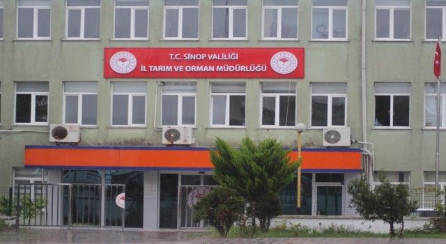 Sinop'ta arıcılık desteklemesi başvuruları devam ediyor