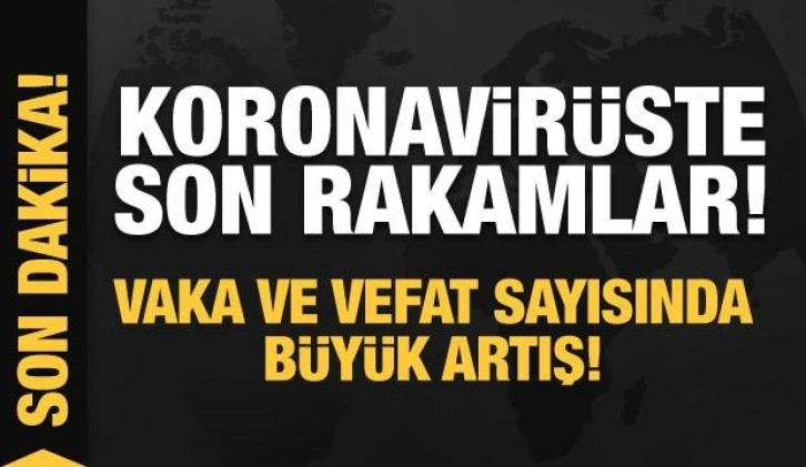 Son dakika: 15 Şubat koronavirüs tablosu açıklandı!