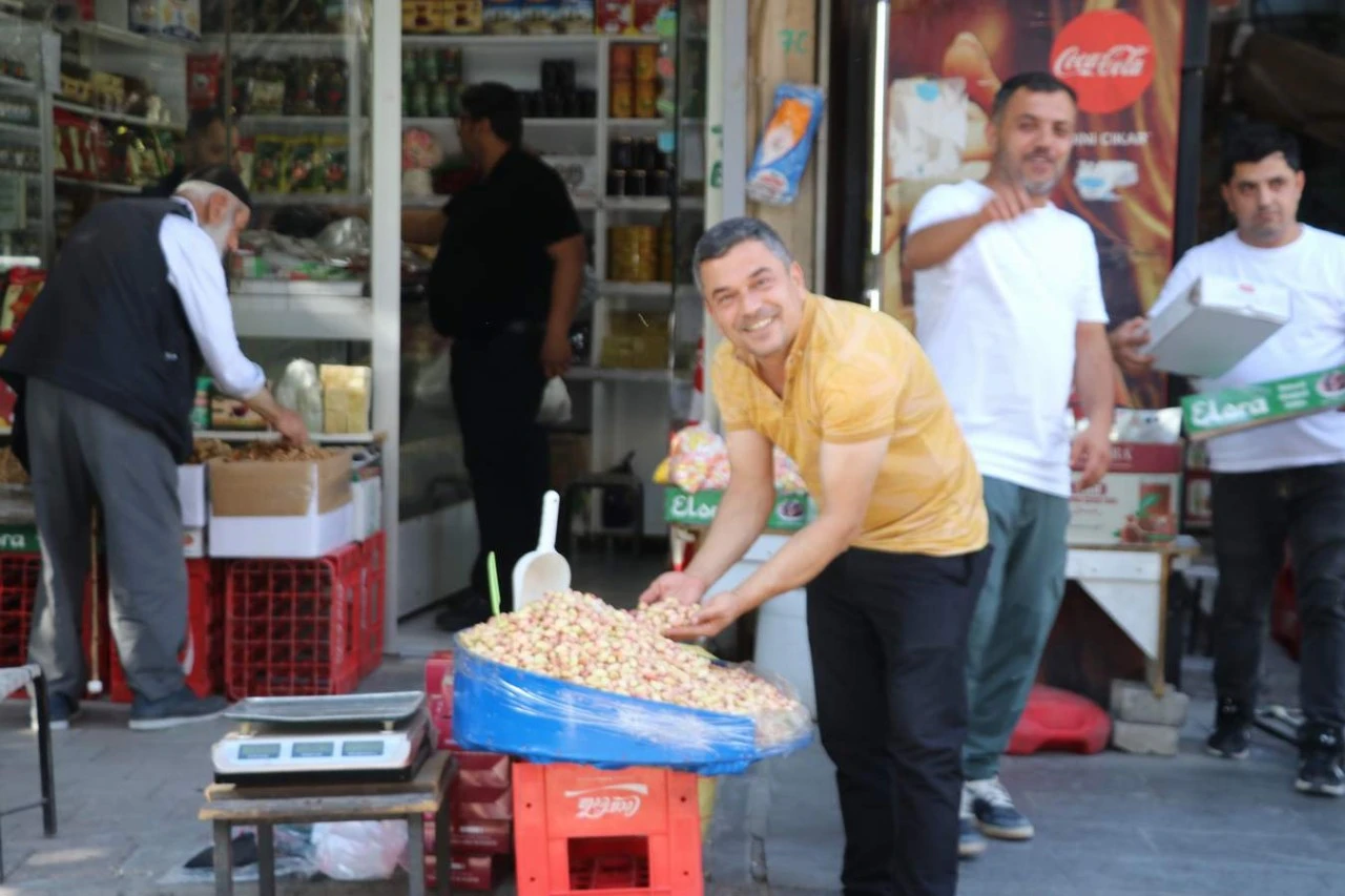 Taze Yeşil Fıstık 700 TL’den Satılıyor