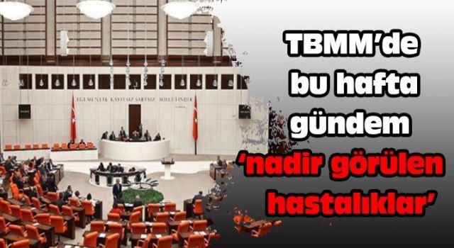 TBMM&#039;de bu hafta gündem &#039;nadir görülen hastalıklar&#039;