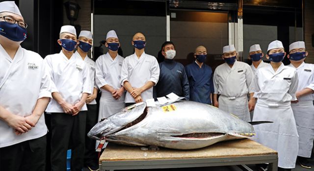 Tokyo'daki balık pazarında geleneksel yeni yıl mezatı