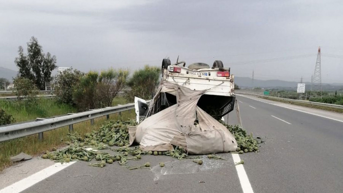 Transit takla attı! Enginarlar yola saçıldı!