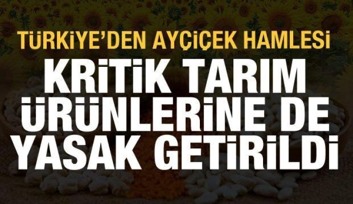 Türkiye'den ayçiçek hamlesi! Kritik tarım ürünlerine de yasak getirildi