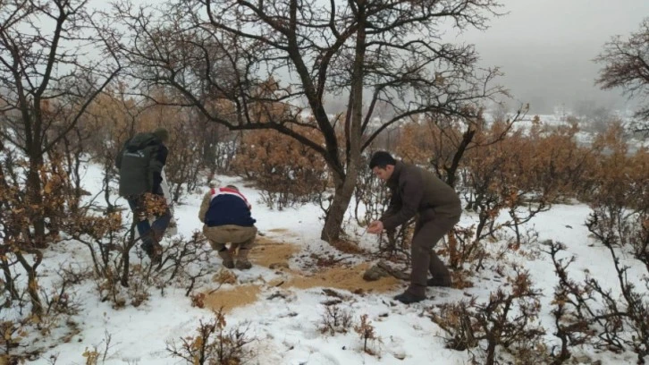 Yaban hayvanları için doğaya yem bırakıldı