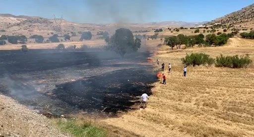 Yangına karşı piknikçiler uyarılmalı