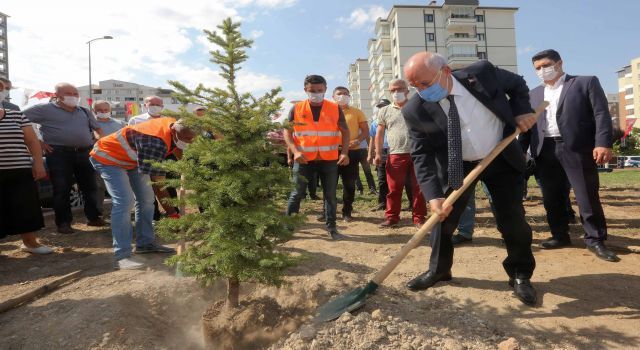 Yenimahalle'de yatırımın büyüğü doğaya yapıldı