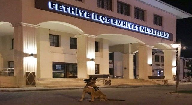 Yılın Narkotik köpeği Muğla'dan Hera'