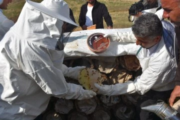 2 Bin 47 Rakımlı Pervari Çemikari Yaylasında Karakovan Bal Hasadı Yapıldı