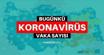 8 Şubat Salı 2022 korona tablosu... Bugünkü corona vaka sayısı açıklandı mı? 8 Şubat koronavirüsten