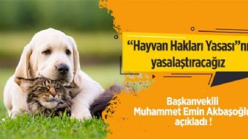 AK Parti&#039;den &#039;Hayvan Hakları Yasası&#039; açıklaması: Önümüzdeki haftalarda yasalaştıracağız