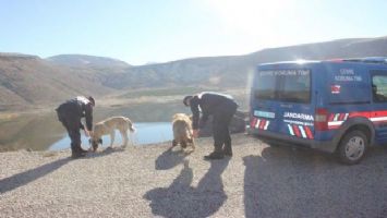 Aksaray Jandarma&#039;dan can dostlara yardım