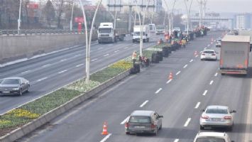 Ankara&#039;nın kışı da rengarenk