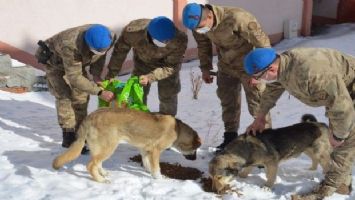 Ardahan&#039;da soğuk hava etkili oluyor