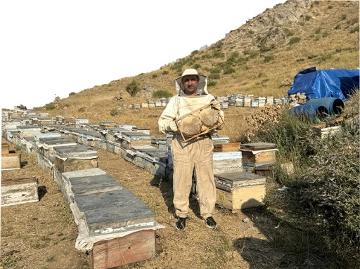Arıcılar Yayla Yolunda