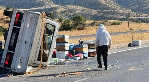 Arılar Yola Saçıldı