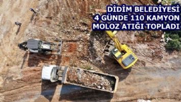 Aydın Didim&#039;de 110 kamyon moloz atığı toplandı