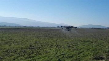 Aydın Koçarlı&#039;da drone ile ilaçlama dönemi