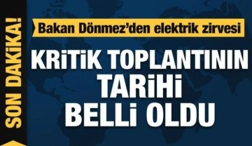 Bakan Dönmez, elektrik dağıtım şirketleriyle görüşecek