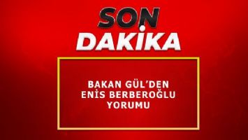 Bakan Gül&#039;den Enis Berberoğlu yorumu
