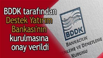 BDDK tarafından Destek Yatırım Bankası&#039;nın kurulmasına onay verildi